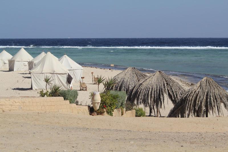 Marsa Shagra Village Marsa Alam Exteriör bild