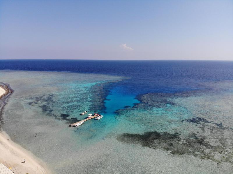 Marsa Shagra Village Marsa Alam Exteriör bild