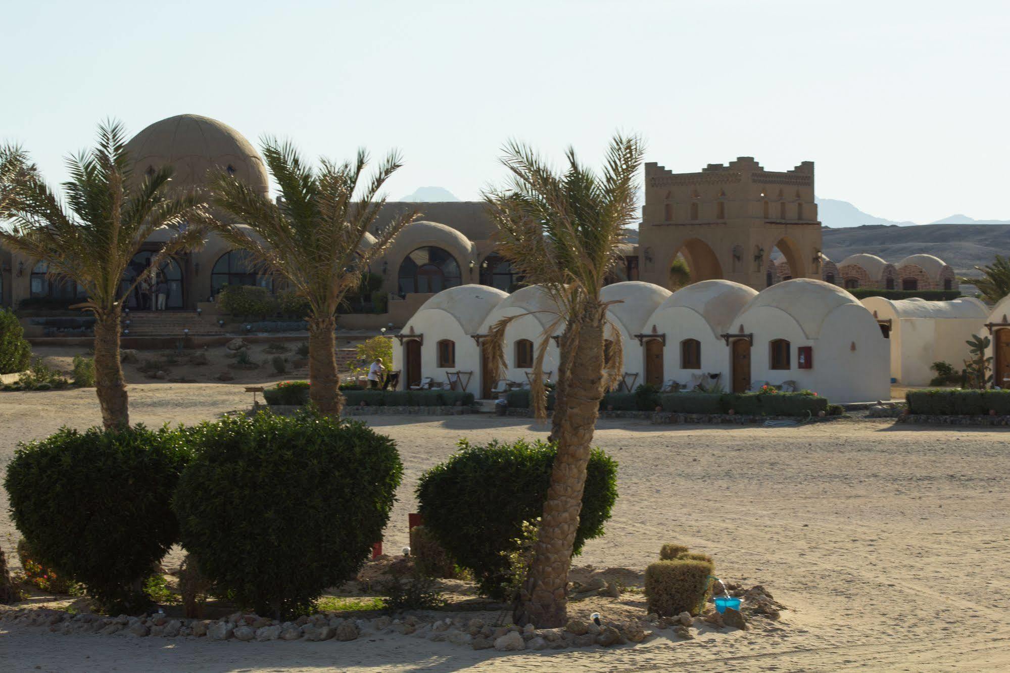 Marsa Shagra Village Marsa Alam Exteriör bild